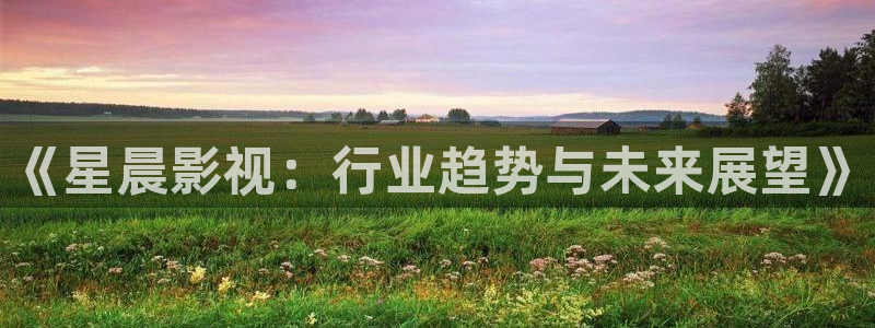 桔子视频tv：《星晨影视：行业趋势与未来展望》