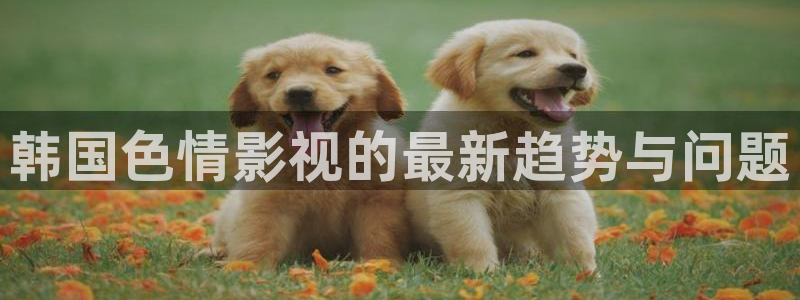 桔子影视电影网：韩国色情影视的最新趋势与问题