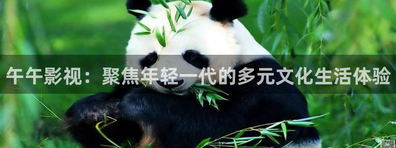 请问有没有小城桔子新视频：午午影视：聚焦年轻一代的多元文化生活体验