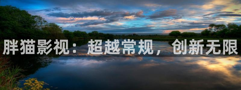 桔子影视软件app下载：胖猫影视：超越常规，创新无限