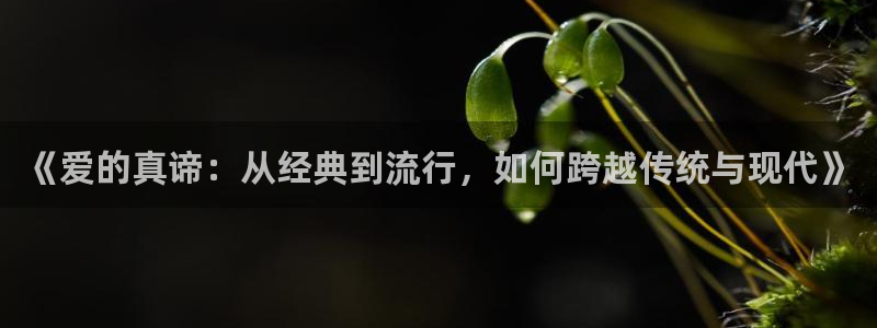 桔子美食视频：《爱的真谛：从经典到流行，如何跨越传统与现代》
