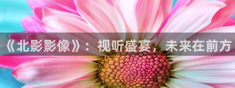 桔子视频免费在线：《北影影像》：视听盛宴，未来在前方