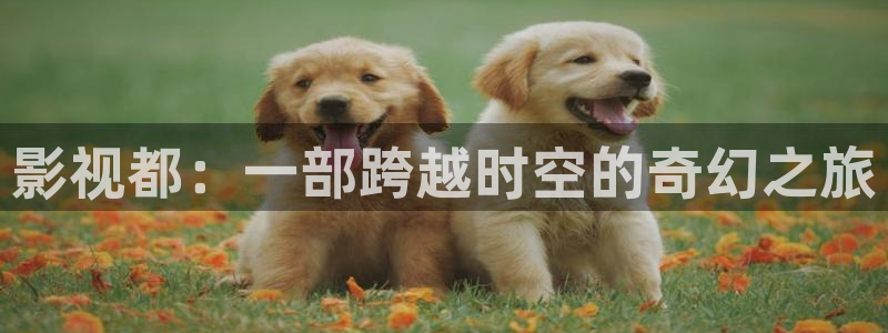 桔子影视在线：影视都：一部跨越时空的奇幻之旅