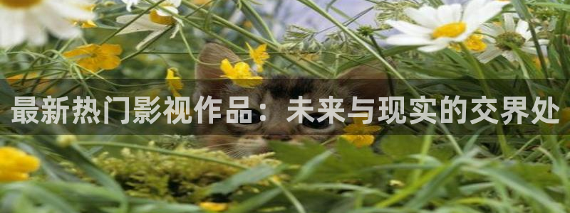 桔子的图片：最新热门影视作品：未来与现实的交界处